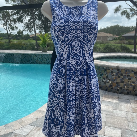 Charter Club Dresses & Skirts - Charter Club Petites Dress